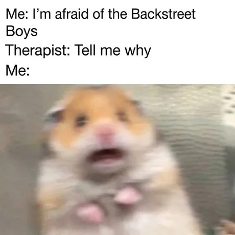Me: I'm afraid of the Backstreet Boys Therapist: Tell me why Me: [Image of a scared hamster]