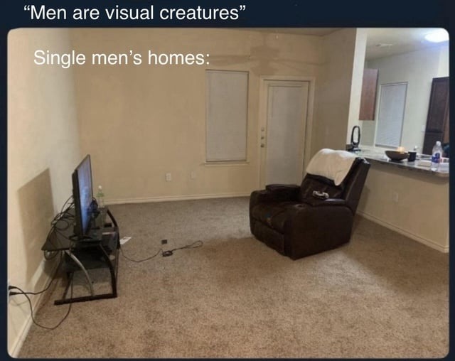 Men are visual creatures
Single men's homes: