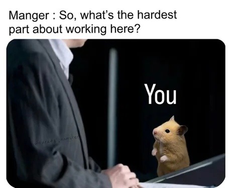 Manger : So, what's the hardest part about working here? You