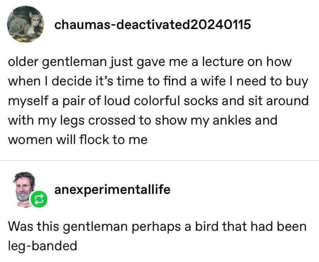 chaumas-deactivated20240115 older gentleman just gave me a lecture on how when I decide it's time to find a wife I need to buy myself a pair of loud colorful socks and sit around with my legs crossed to show my ankles and women will flock to me anexperimentallife Was this gentleman perhaps a bird that had been leg-banded