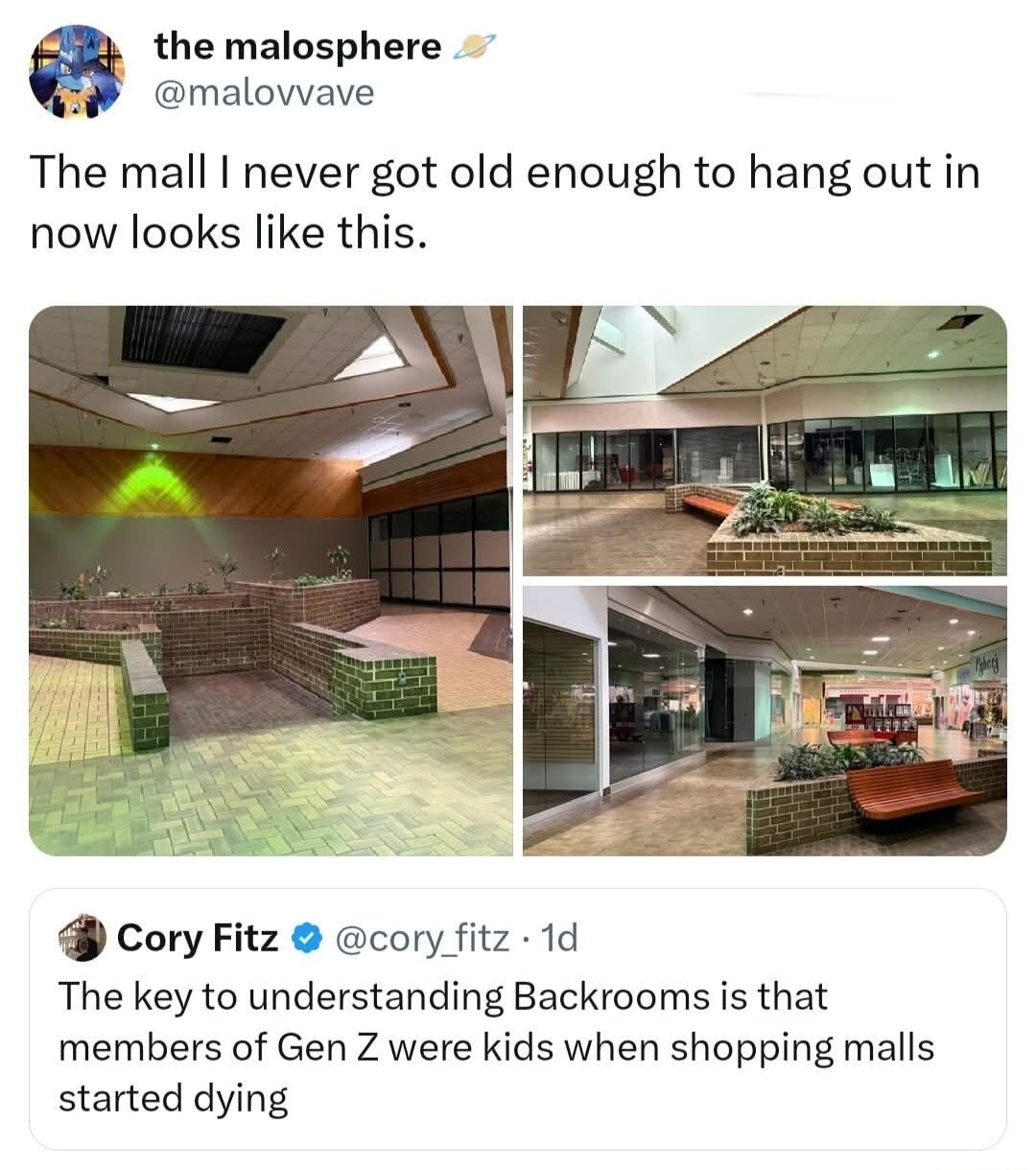 the malosphere @malovvave The mall I never got old enough to hang out in now looks like this. Cory Fitz @cory_fitz 1d The key to understanding Backrooms is that members of Gen Z were kids when shopping malls started dying