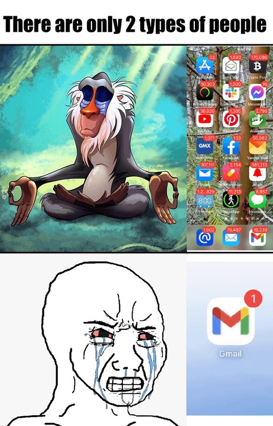 There are only 2 types of people. One type is calm and meditative, like Rafiki from The Lion King. The other type has an overwhelming number of unread notifications on their phone apps, showing hundreds of thousands of alerts. This contrasts with a person crying in distress over a single unread Gmail notification.