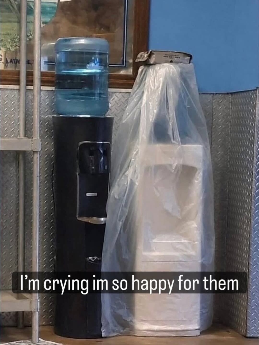 I'm crying im so happy for them