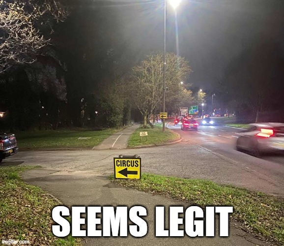 CIRCUS SEEMS LEGIT