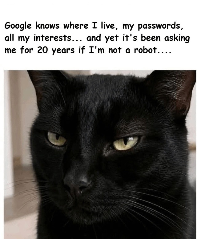 Google knows where I live, my passwords, all my interests... and yet it's been asking me for 20 years if I'm not a robot....