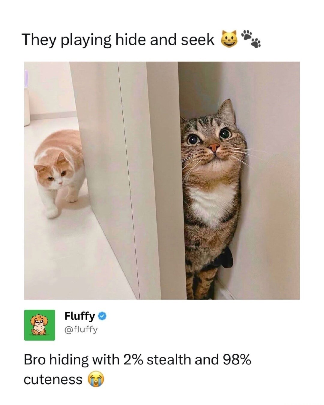 They playing hide and seek Bro hiding with 2% stealth and 98% cuteness