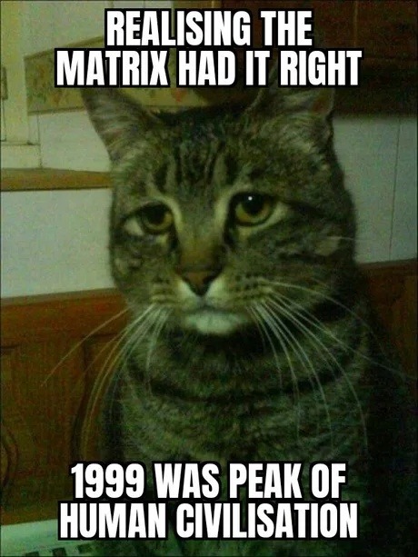 REALISING THE MATRIX HAD IT RIGHT 1999 WAS PEAK OF HUMAN CIVILISATION