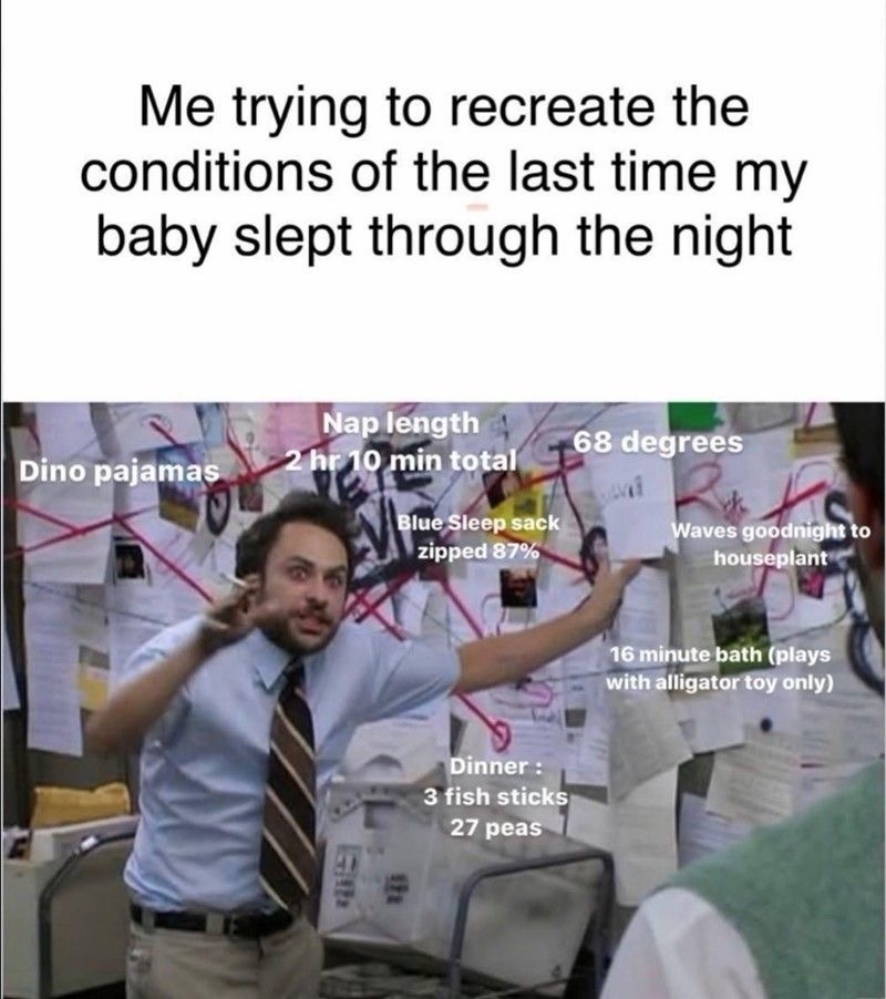 Me trying to recreate the conditions of the last time my baby slept through the night. Dino pajamas. Nap length 2 hr 10 min total. Blue Sleep sack zipped 87%. 68 degrees. Waves goodnight to houseplant. 16 minute bath (plays with alligator toy only). Dinner: 3 fish sticks, 27 peas.