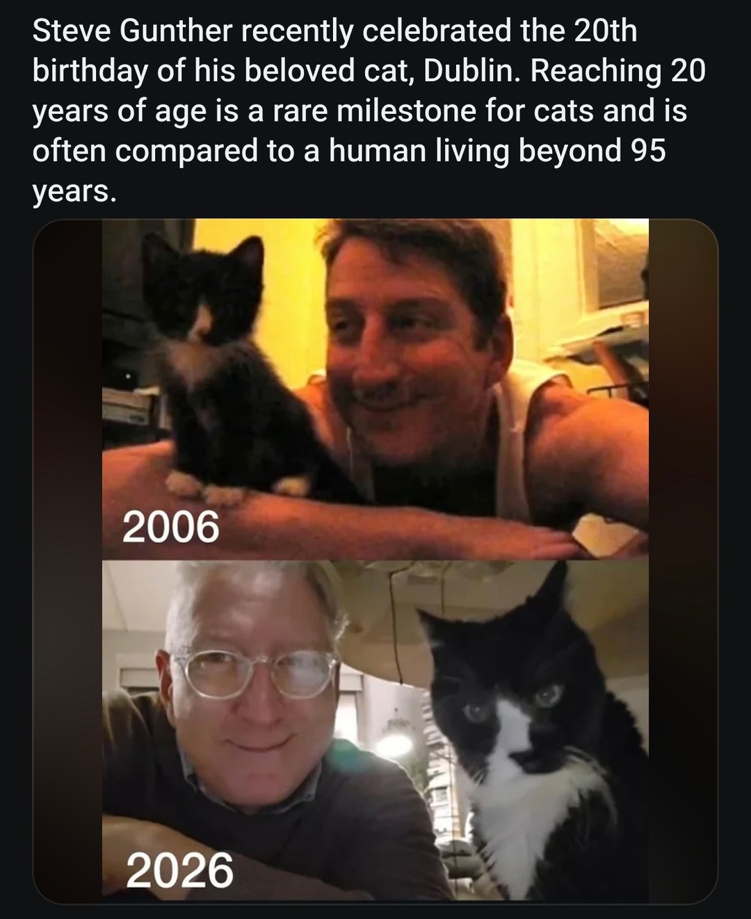 Steve Gunther recently celebrated the 20th birthday of his beloved cat, Dublin. Reaching 20 years of age is a rare milestone for cats and is often compared to a human living beyond 95 years. 2006 2026