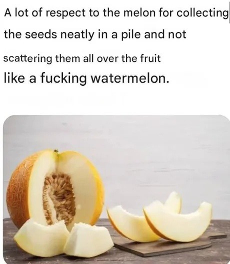 A lot of respect to the melon for collecting the seeds neatly in a pile and not scattering them all over the fruit like a fucking watermelon.