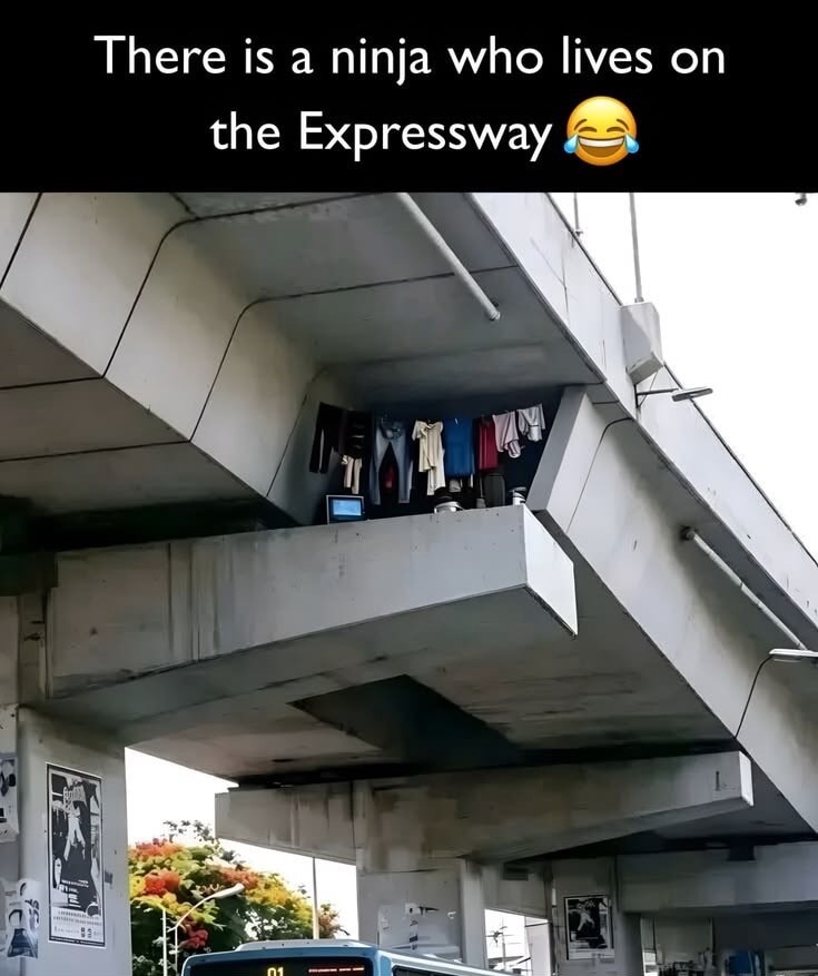 There is a ninja who lives on the Expressway 😂