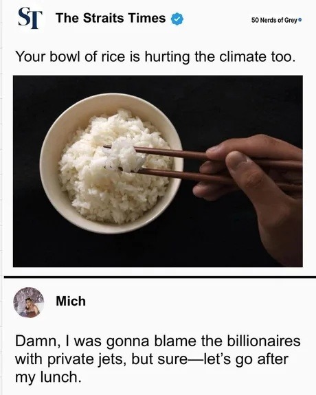 ST The Straits Times 50 Nerds of Grey Your bowl of rice is hurting the climate too. Mich Damn, I was gonna blame the billionaires with private jets, but sure—let's go after my lunch.