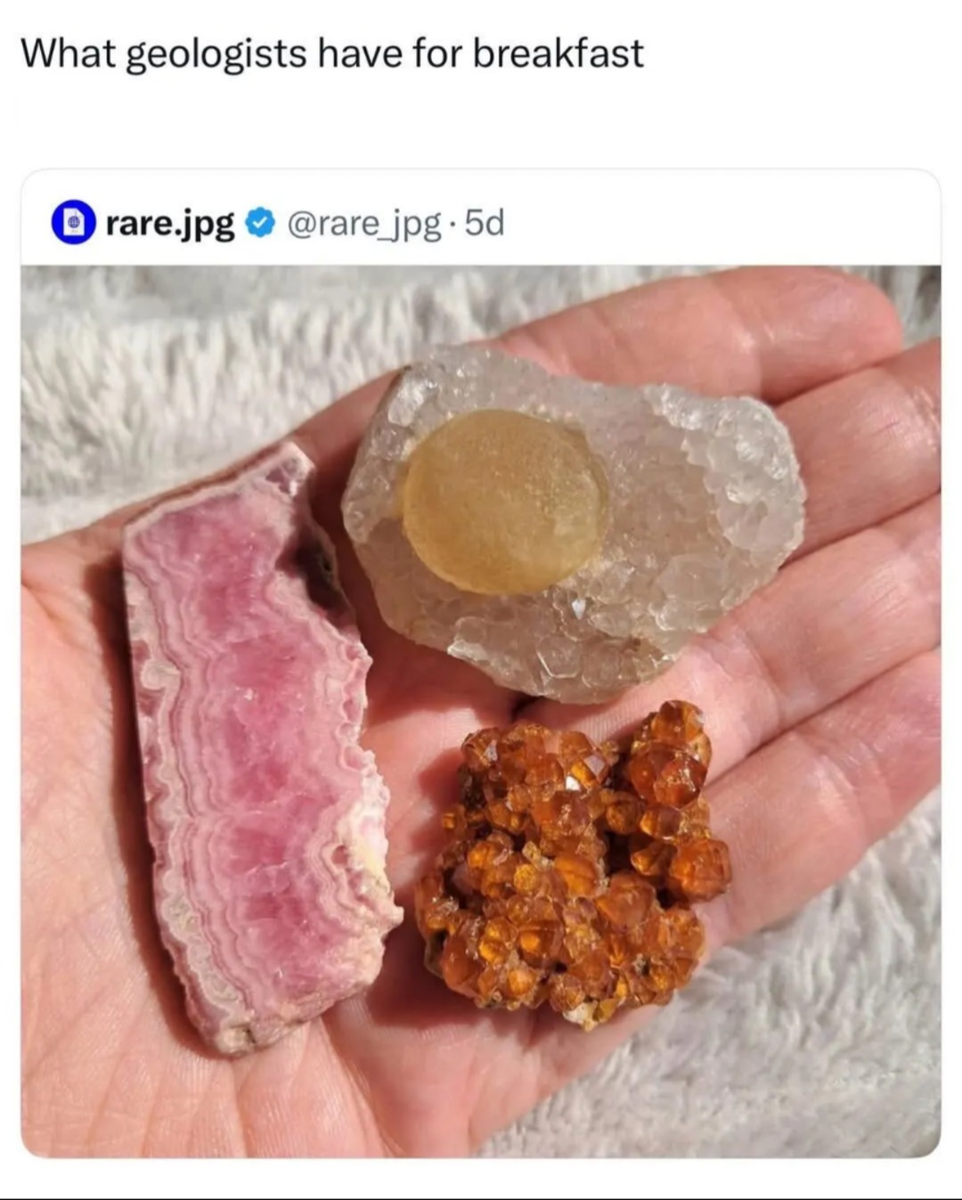 What geologists have for breakfast