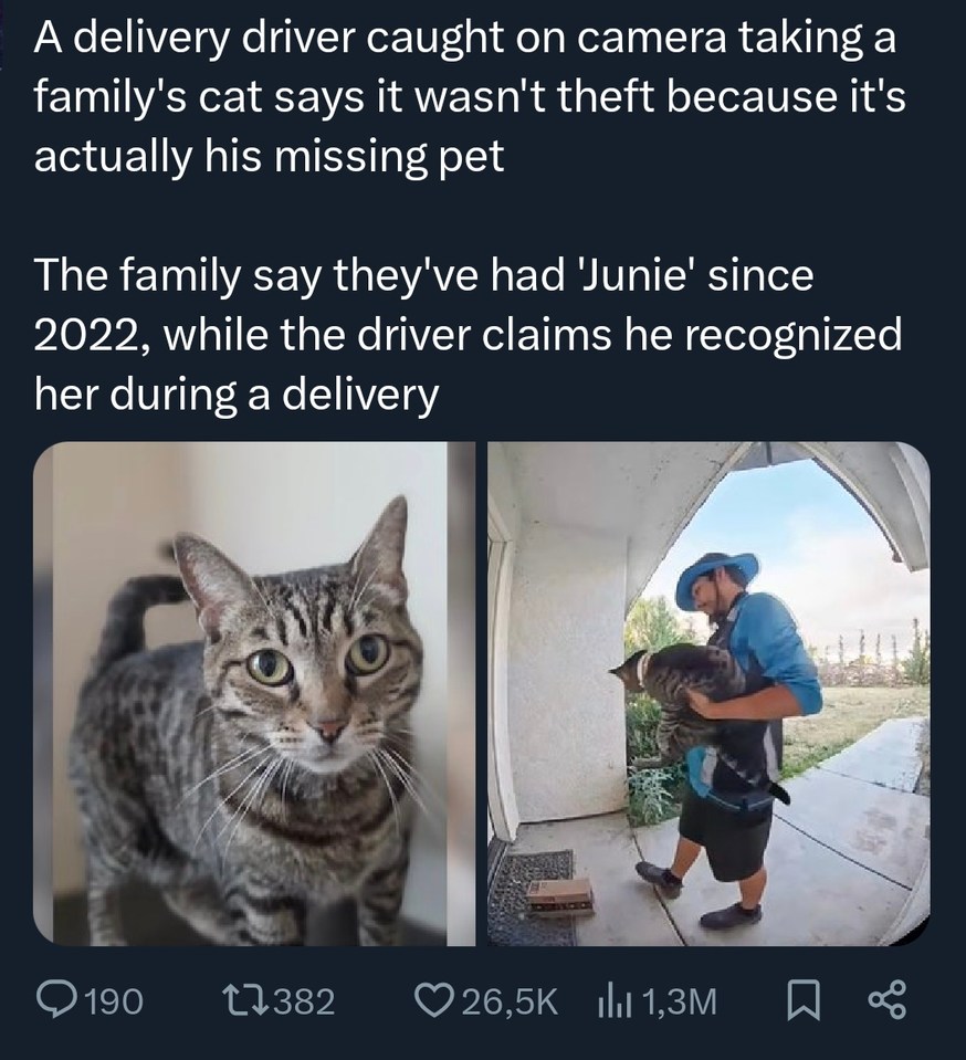 A delivery driver caught on camera taking a family's cat says it wasn't theft because it's actually his missing pet. The family say they've had 'Junie' since 2022, while the driver claims he recognized her during a delivery.