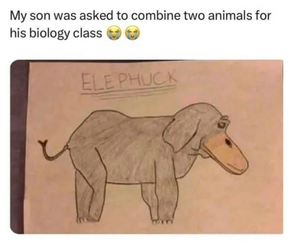 My son was asked to combine two animals for his biology class. ELEPHUCK.