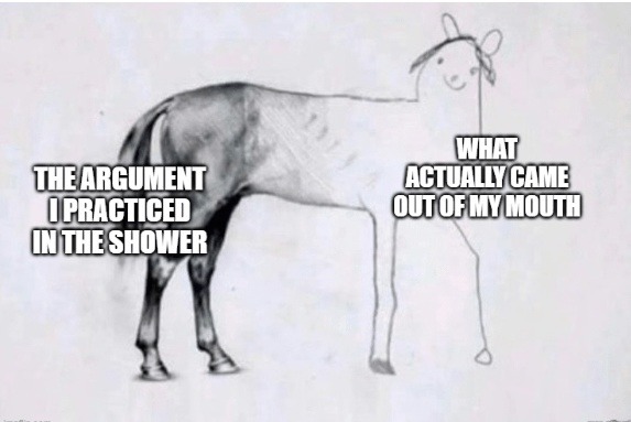 THE ARGUMENT I PRACTICED IN THE SHOWER WHAT ACTUALLY CAME OUT OF MY MOUTH