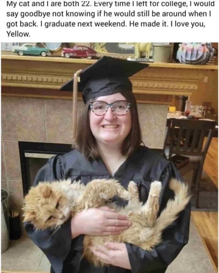 My cat and I are both 22. Every time I left for college, I would say goodbye not knowing if he would still be around when I got back. I graduate next weekend. He made it. I love you, Yellow.