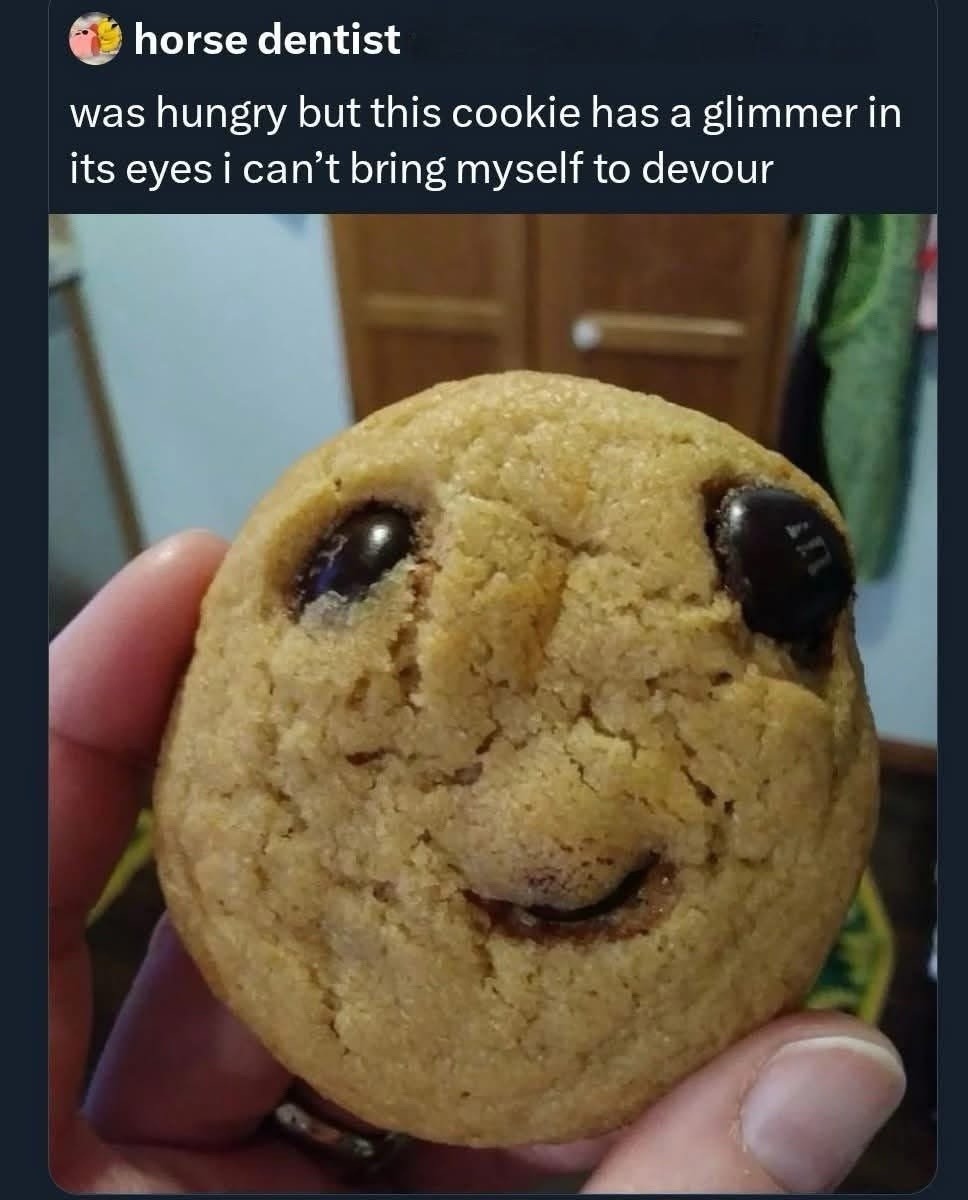 horse dentist was hungry but this cookie has a glimmer in its eyes i can't bring myself to devour. A hand holds a homemade cookie with M&M's for eyes and a chocolate chip for a mouth, giving it a distinct, almost pleading, facial expression.