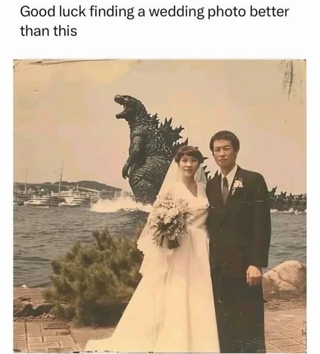 Good luck finding a wedding photo better than this