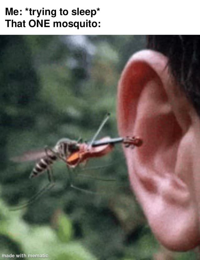 Me: *trying to sleep* That ONE mosquito: made with mematic