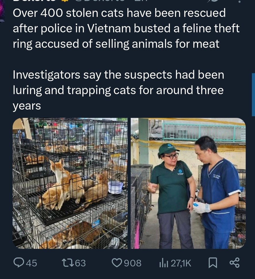 Over 400 stolen cats have been rescued after police in Vietnam busted a feline theft ring accused of selling animals for meat. Investigators say the suspects had been luring and trapping cats for around three years.