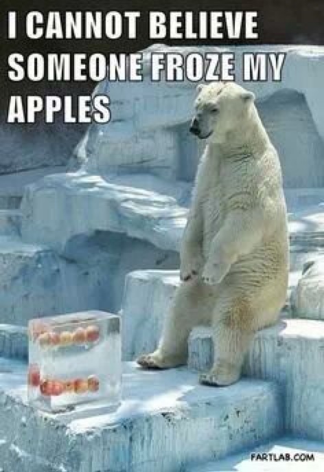 I CANNOT BELIEVE SOMEONE FROZE MY APPLES