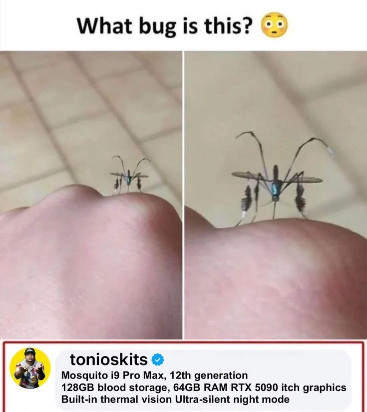 What bug is this? 😳 tonioskits Mosquito i9 Pro Max, 12th generation 128GB blood storage, 64GB RAM RTX 5090 itch graphics Built-in thermal vision Ultra-silent night mode