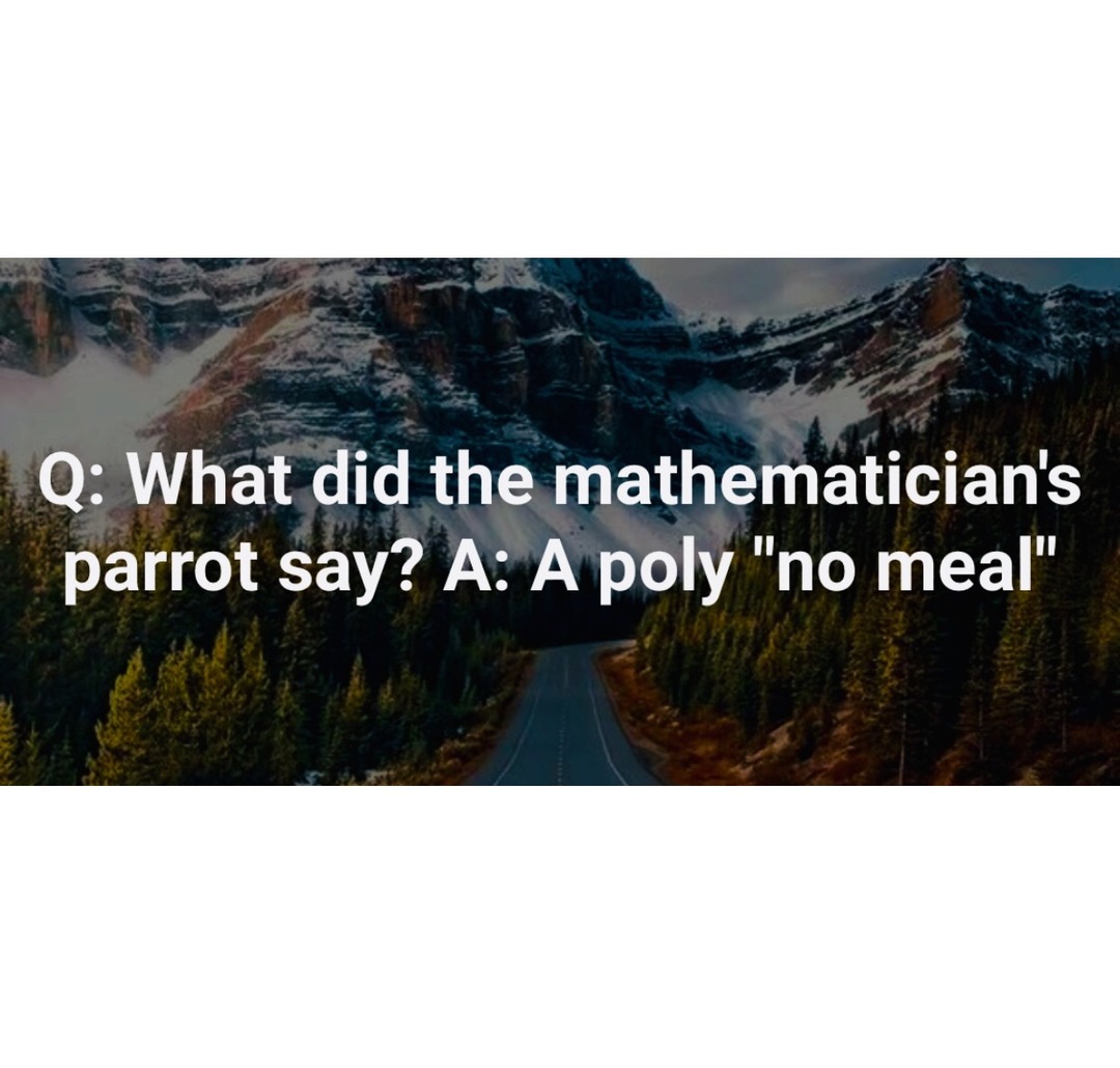 Q: What did the mathematician's parrot say? A: A poly 
