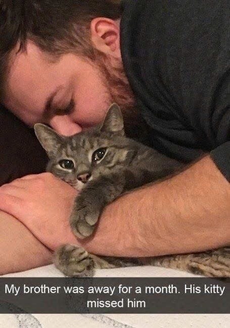 My brother was away for a month. His kitty missed him