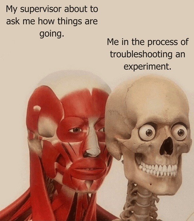 My supervisor about to ask me how things are going. Me in the process of troubleshooting an experiment.