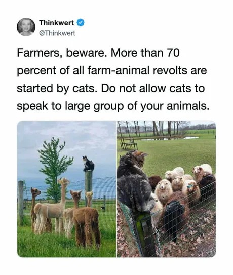Thinkwert @Thinkwert Farmers, beware. More than 70 percent of all farm-animal revolts are started by cats. Do not allow cats to speak to large group of your animals.