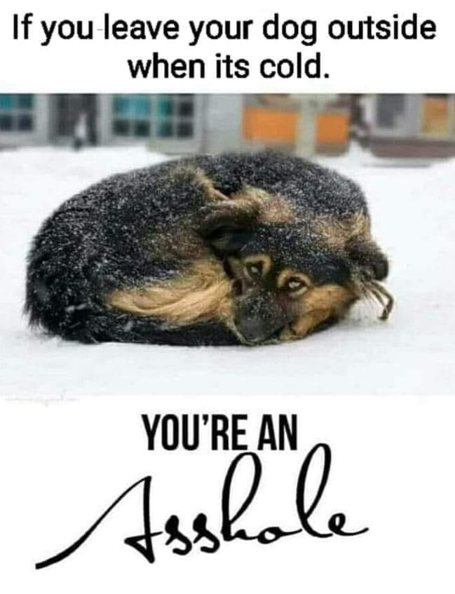 If you leave your dog outside when its cold. YOU'RE AN Asshole