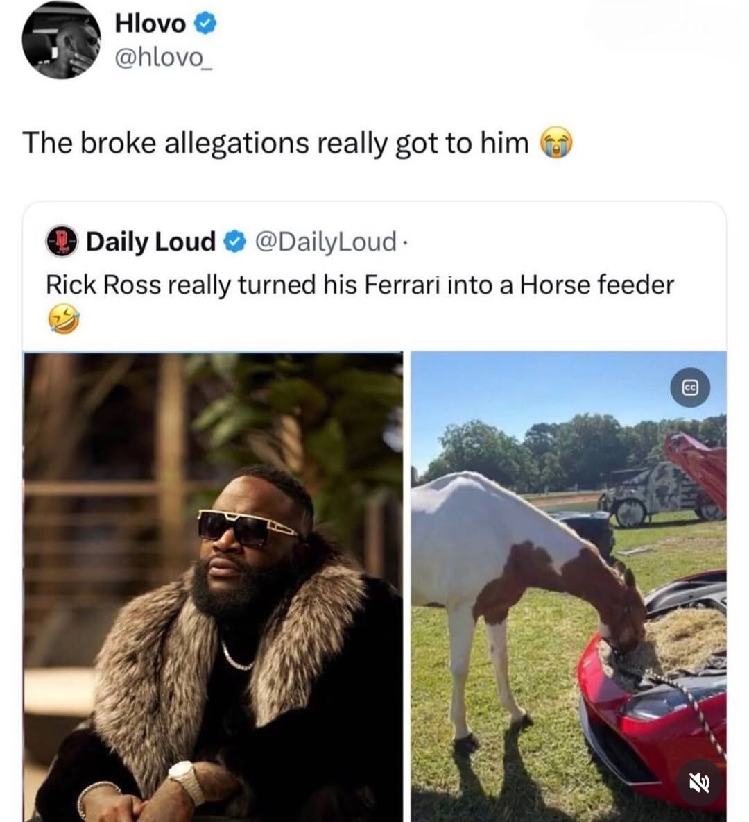 Hlovo @hlovo_ The broke allegations really got to him 😭 Daily Loud @DailyLoud Rick Ross really turned his Ferrari into a Horse feeder 😂