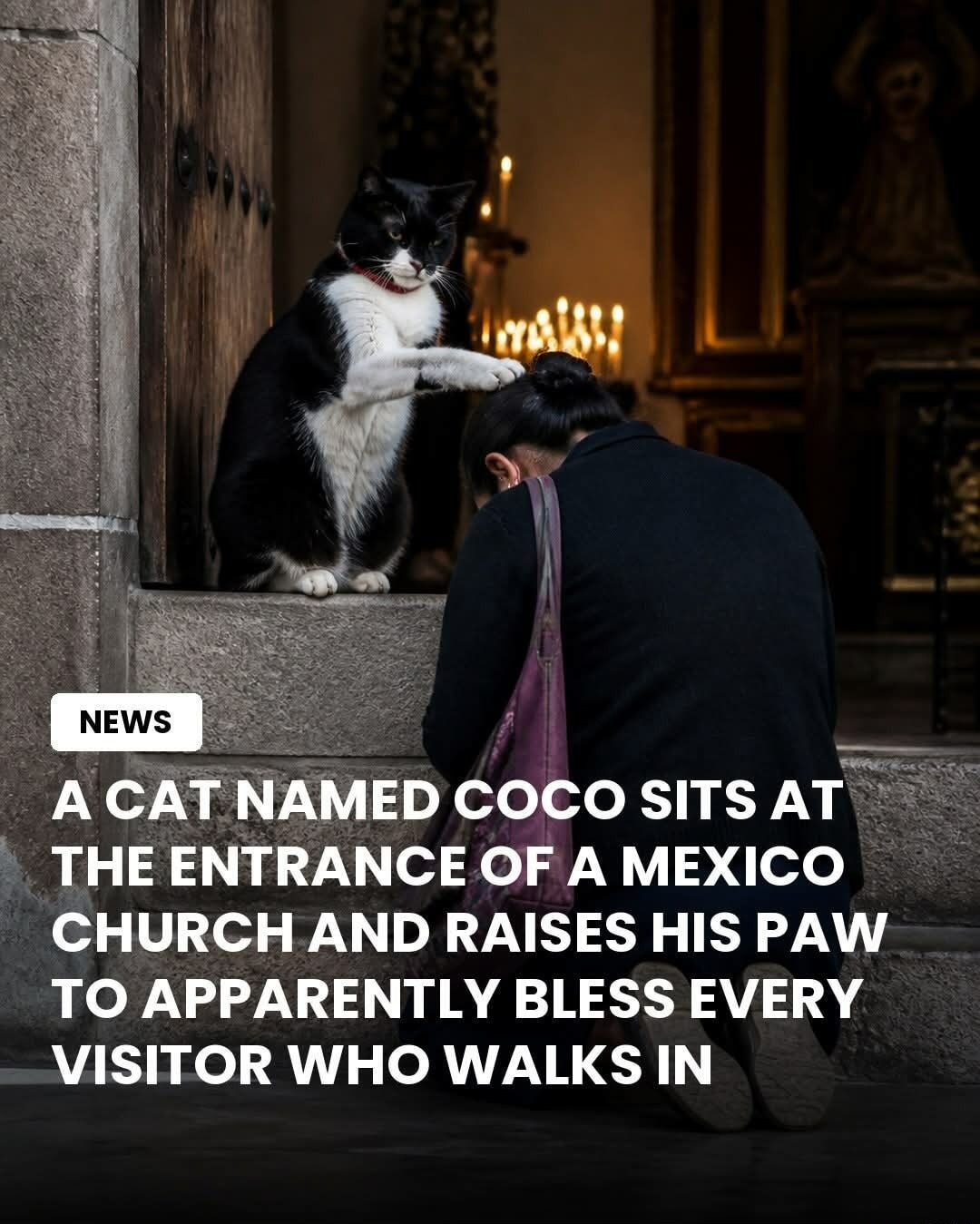 NEWS A CAT NAMED COCO SITS AT THE ENTRANCE OF A MEXICO CHURCH AND RAISES HIS PAW TO APPARENTLY BLESS EVERY VISITOR WHO WALKS IN
