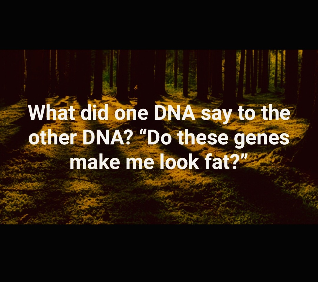 What did one DNA say to the other DNA? 