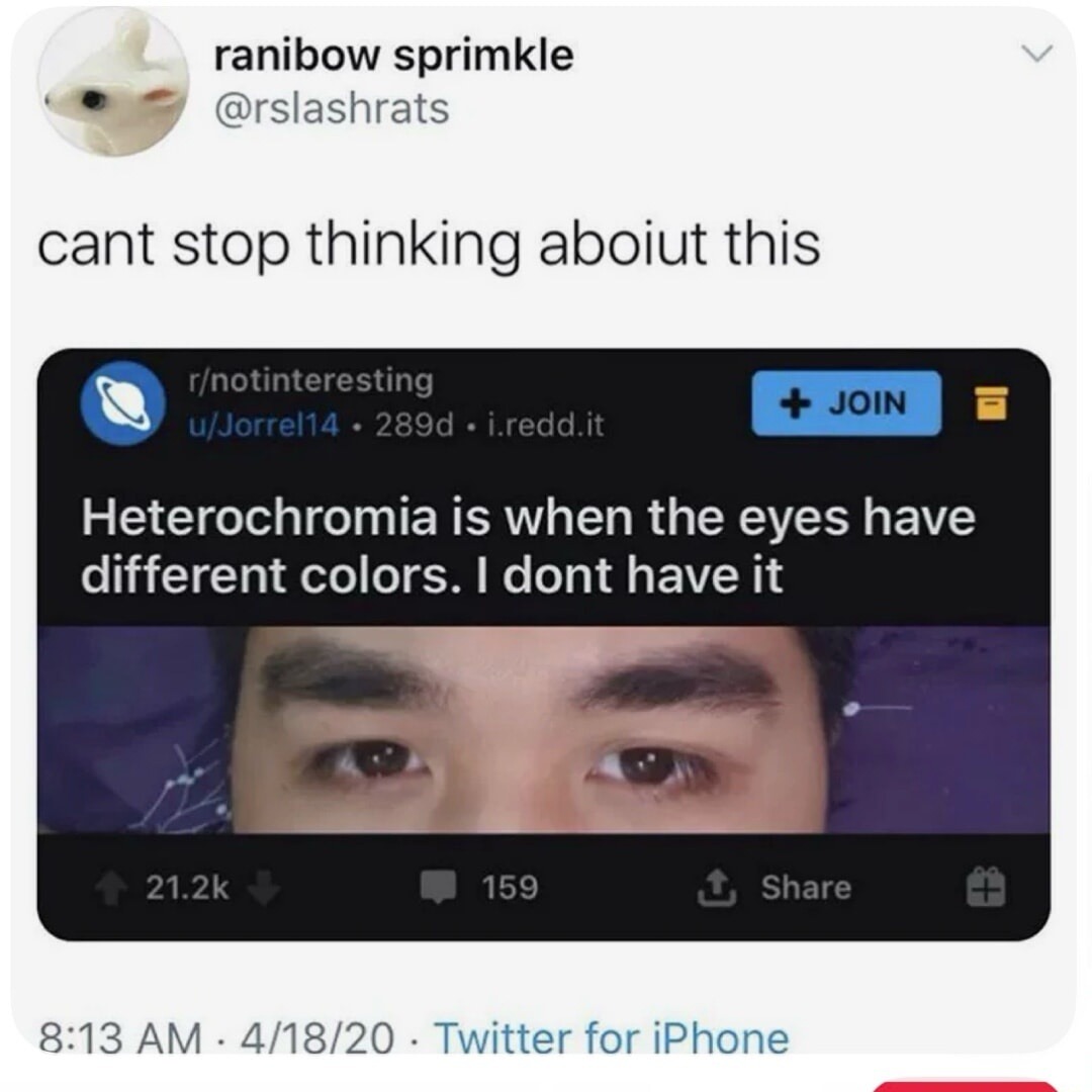 ranibow sprimkle @rslashrats cant stop thinking aboiut this r/notinteresting u/Jorrel14 • 289d • i.redd.it Heterochromia is when the eyes have different colors. I dont have it 21.2k 159 Share 8:13 AM • 4/18/20 • Twitter for iPhone