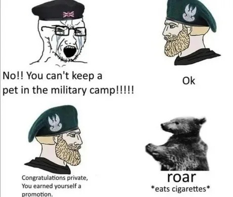 No!! You can't keep a pet in the military camp!!!!! Ok Congratulations private, You earned yourself a promotion. roar *eats cigarettes*