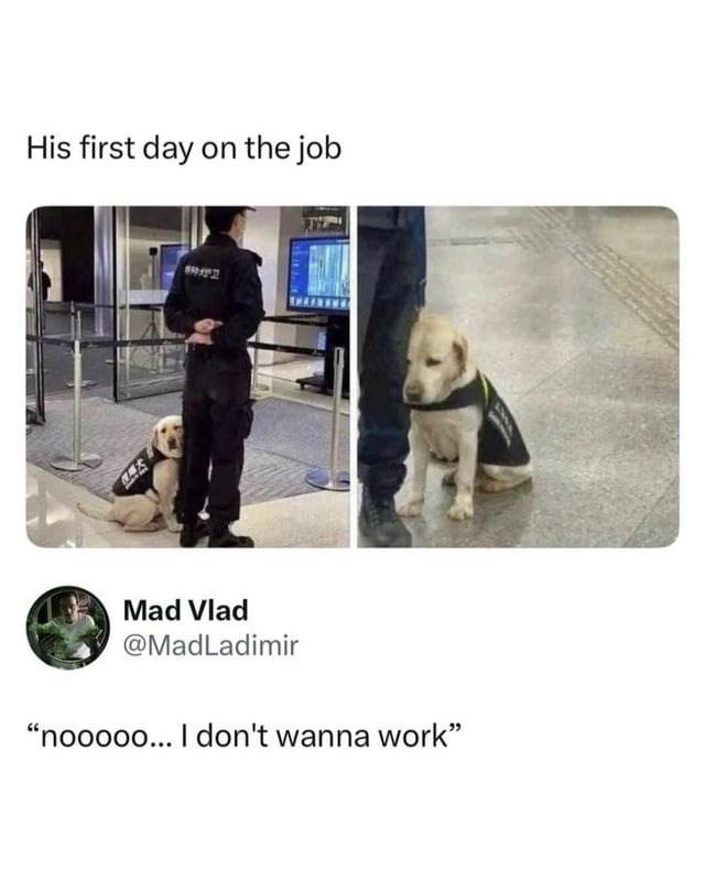 His first day on the job nooooo... I don't wanna work