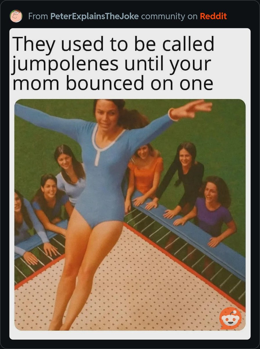 They used to be called jumpolenes until your mom bounced on one