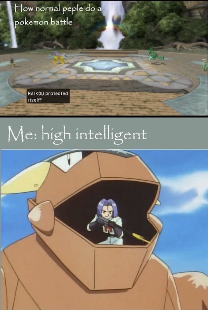 How normal people do a pokemon battle. RAIKOU protected itself! Me: high intelligent