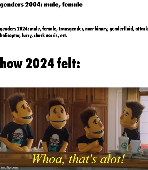 genders 2004: male, female
genders 2024: male, female, transgender, non-binary, genderfluid, attack helicopter, furry, chuck norris, ect.
how 2024 felt:
Whoa, that's a lot!
