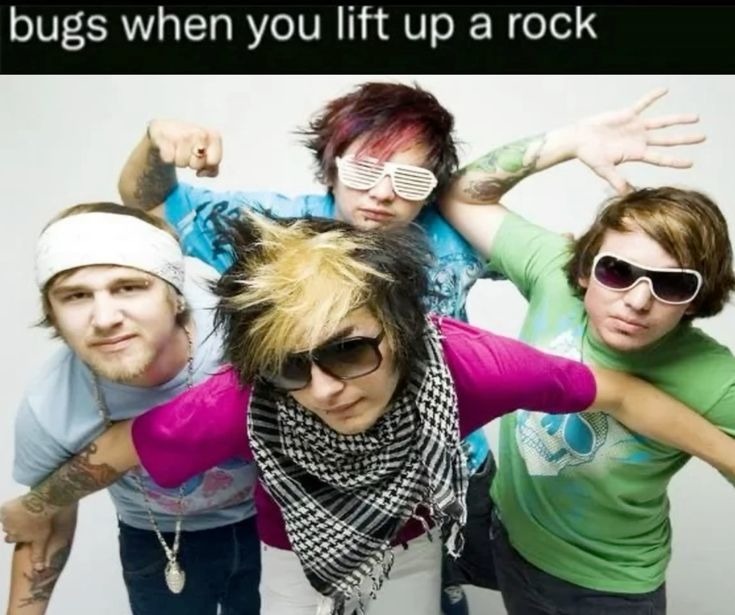 bugs when you lift up a rock