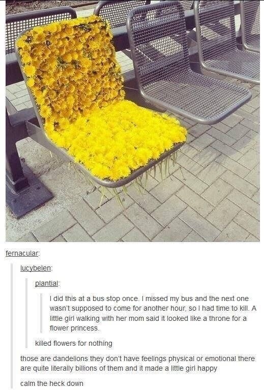 I did this at a bus stop once. I missed my bus and the next one wasn't supposed to come for another hour, so I had time to kill. A little girl walking with her mom said it looked like a throne for a flower princess. killed flowers for nothing those are dandelions they don't have feelings physical or emotional there are quite literally billions of t