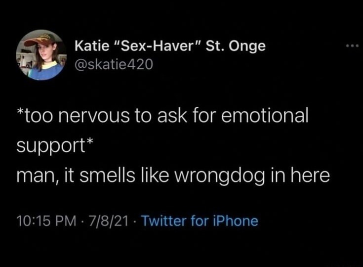 *too nervous to ask for emotional support* man, it smells like wrongdog in here