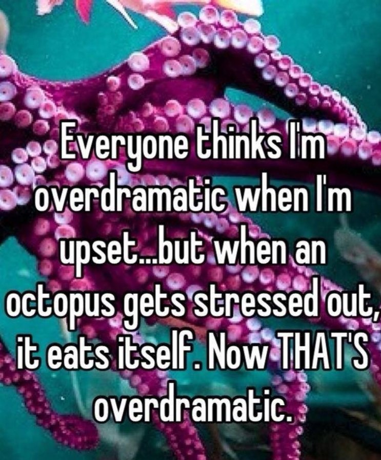 Everyone thinks I'm overdramatic when I'm upset...but when an octopus gets stressed out, it eats itself. Now THAT'S overdramatic.