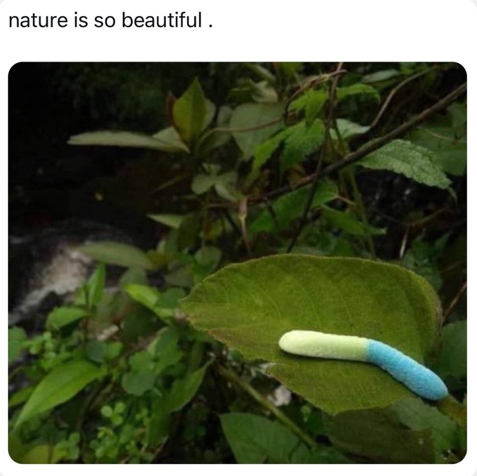 nature is so beautiful.
