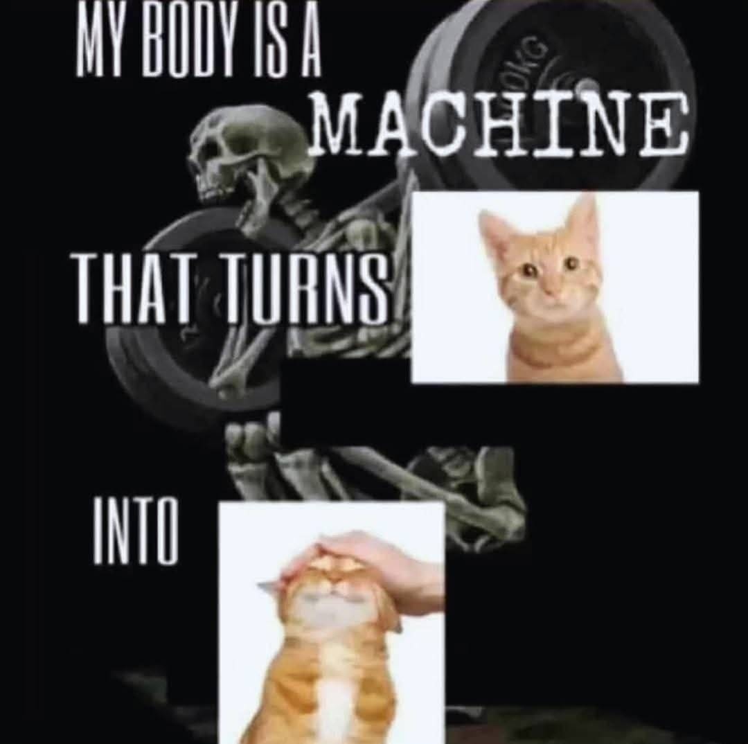 MY BODY IS A MACHINE THAT TURNS INTO a cat being petted