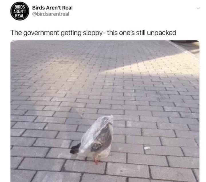 Birds Aren't Real @birdsarentreal The government getting sloppy- this one's still unpacked