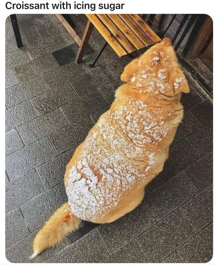 Croissant with icing sugar