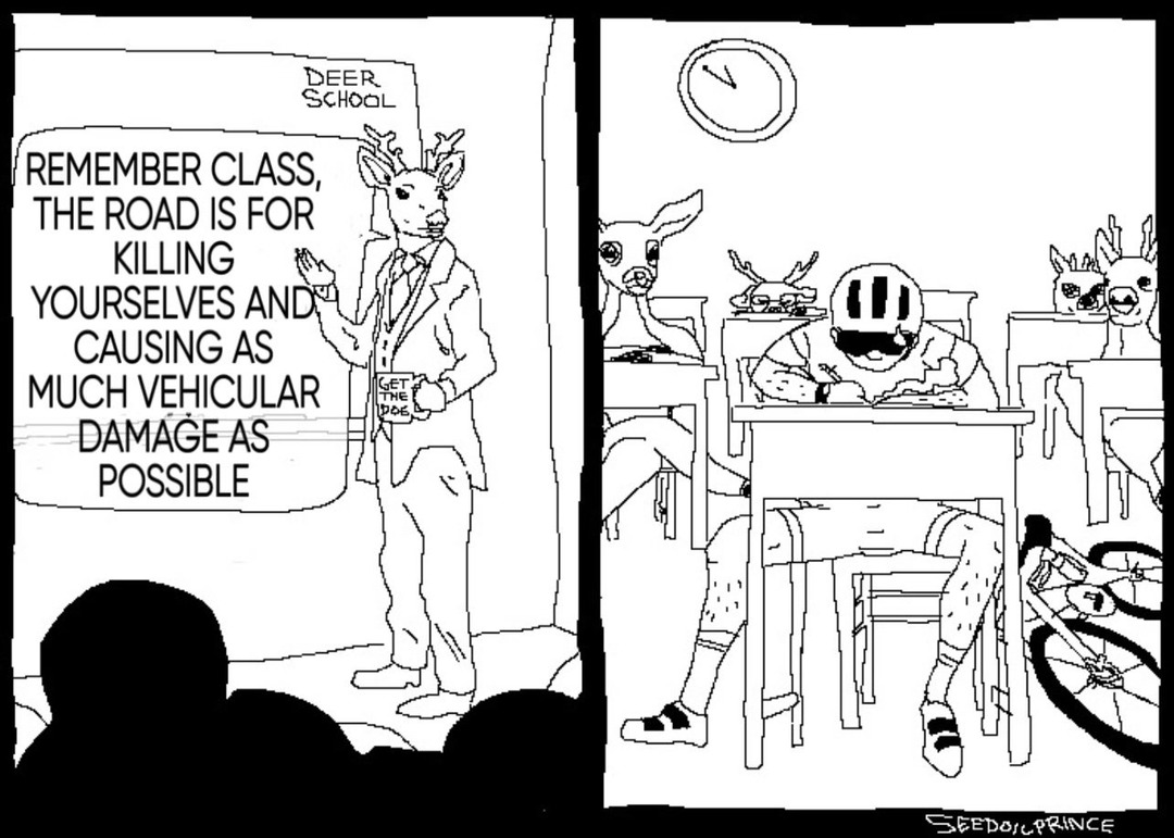 DEER SCHOOL REMEMBER CLASS, THE ROAD IS FOR KILLING YOURSELVES AND CAUSING AS MUCH VEHICULAR DAMAGE AS POSSIBLE GET THE DOE SEEDOILPRINCE